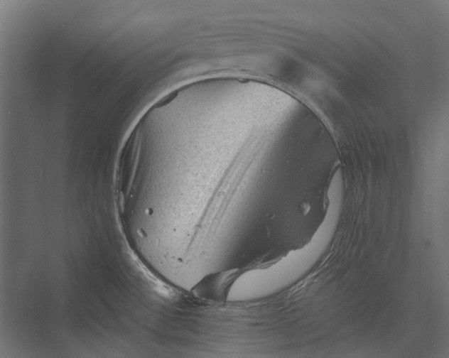 X0000076031532200610061405