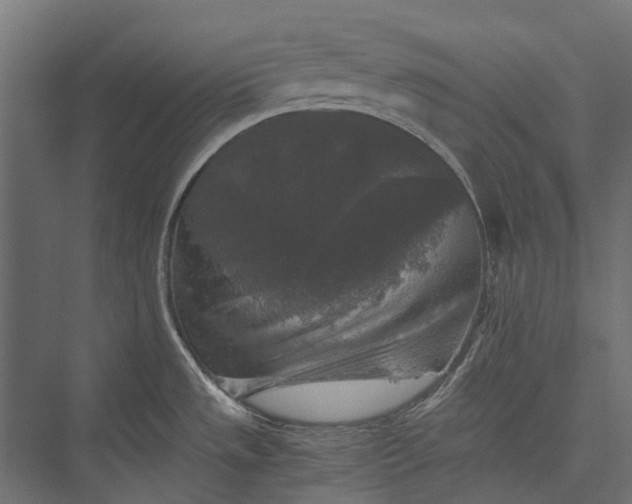 X0000076031533200610061405