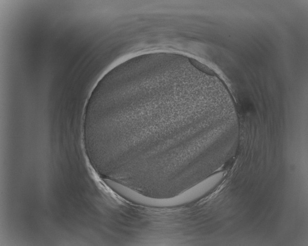 X0000076031534200610061405