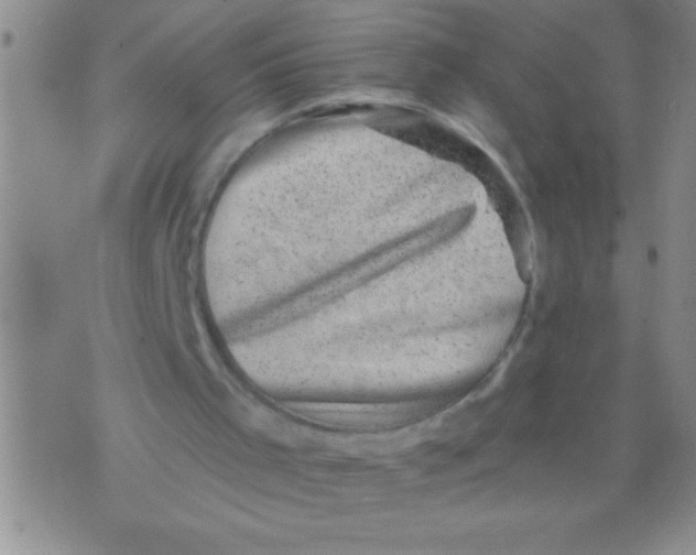 X0000076030001200610152059