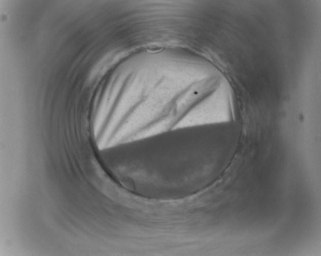 X0000076030002200610152059