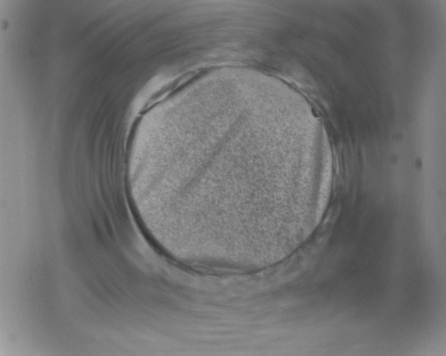 X0000076030003200610152059