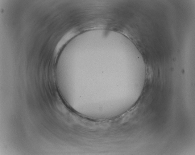 X0000076030004200610152059