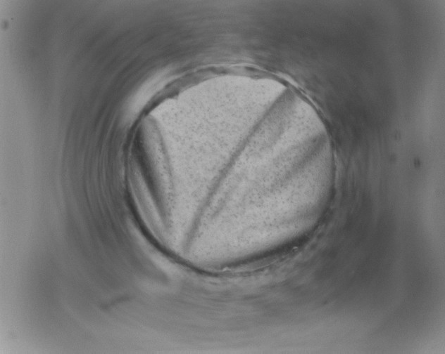 X0000076030005200610152059