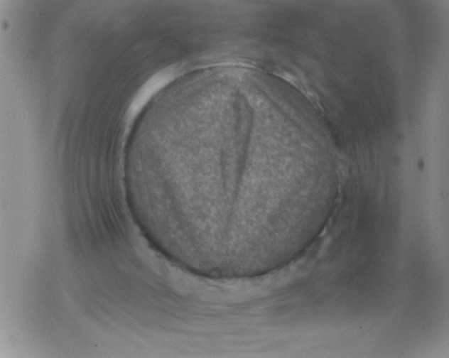 X0000076030006200610152059