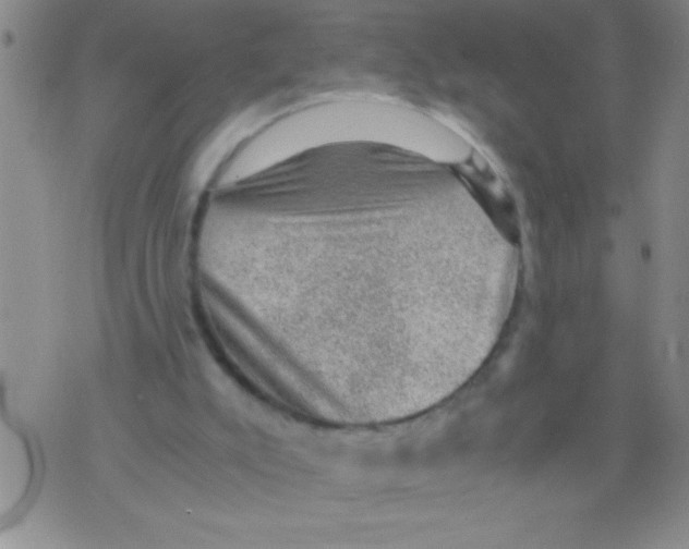 X0000076030007200610152059