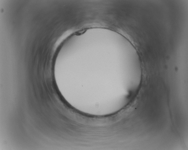 X0000076030008200610152059