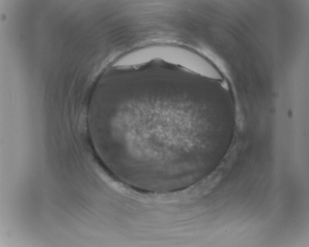 X0000076030009200610152059