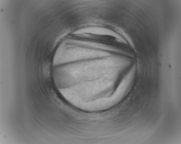 X0000076030010200610152059