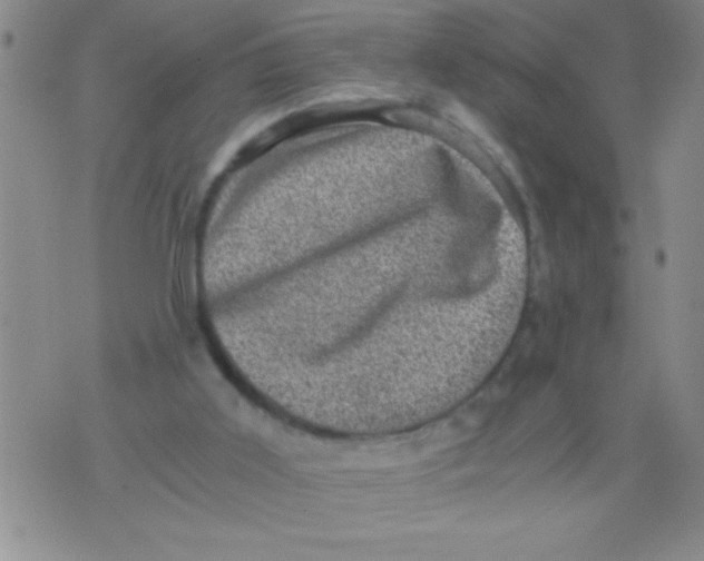 X0000076030011200610152059