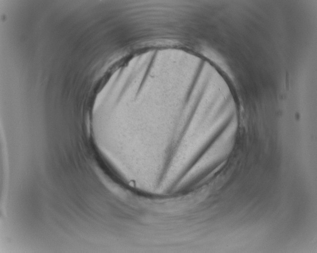 X0000076030013200610152059