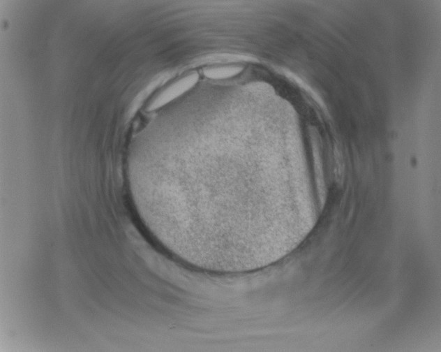 X0000076030015200610152059