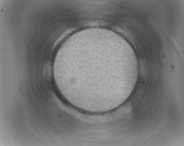 X0000076030016200610152059