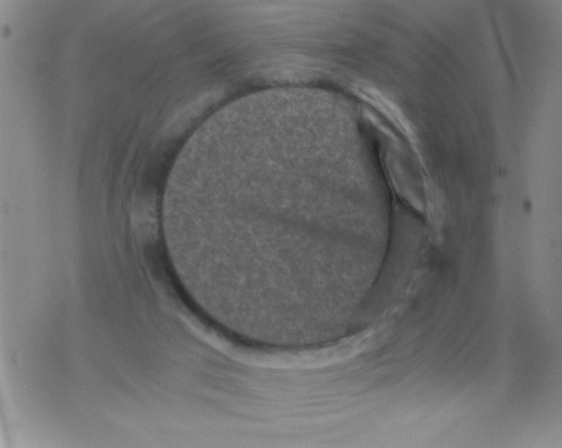 X0000076030017200610152059