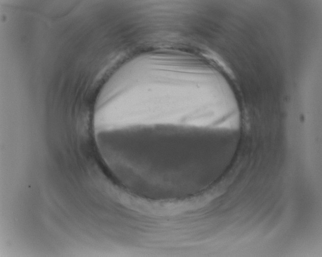 X0000076030018200610152059