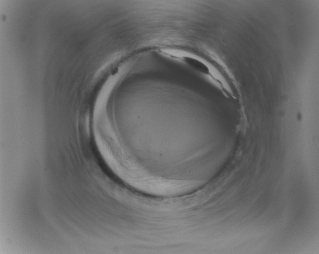 X0000076030019200610152058