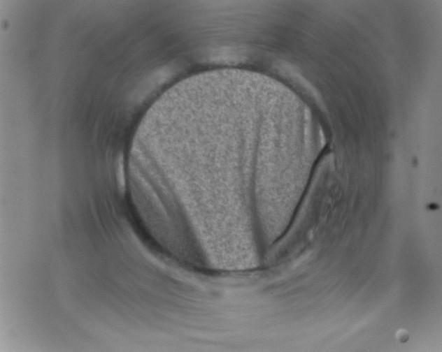 X0000076030020200610152058