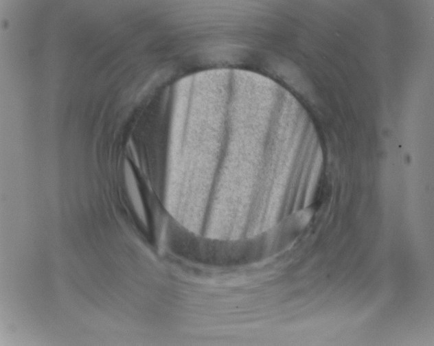 X0000076030021200610152058