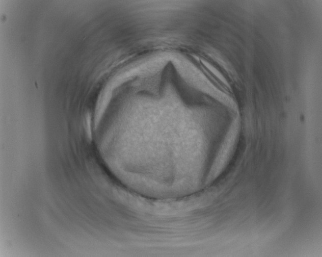 X0000076030022200610152058