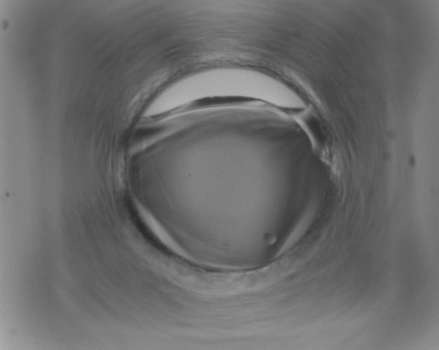 X0000076030023200610152058