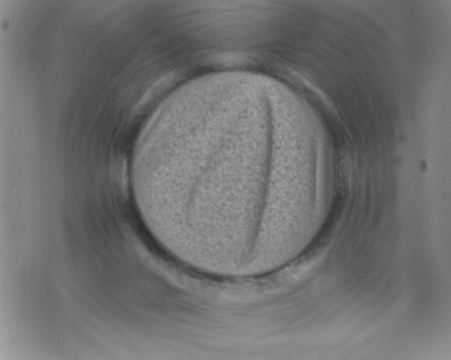 X0000076030024200610152058