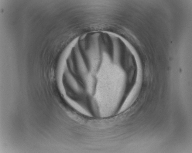 X0000076030025200610152058