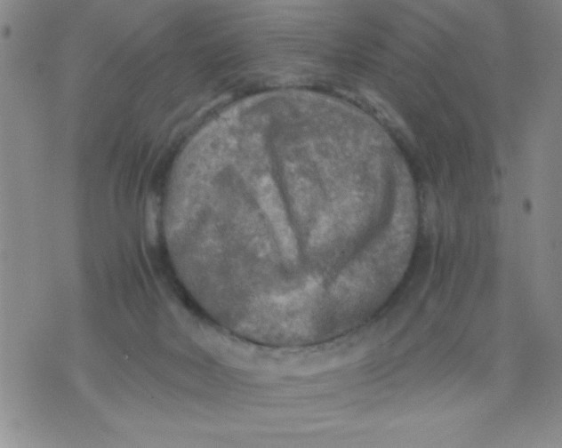 X0000076030026200610152058