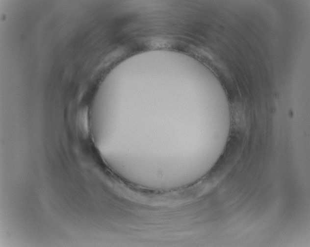 X0000076030028200610152058