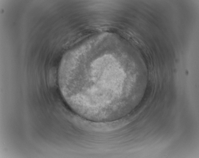 X0000076030030200610152058