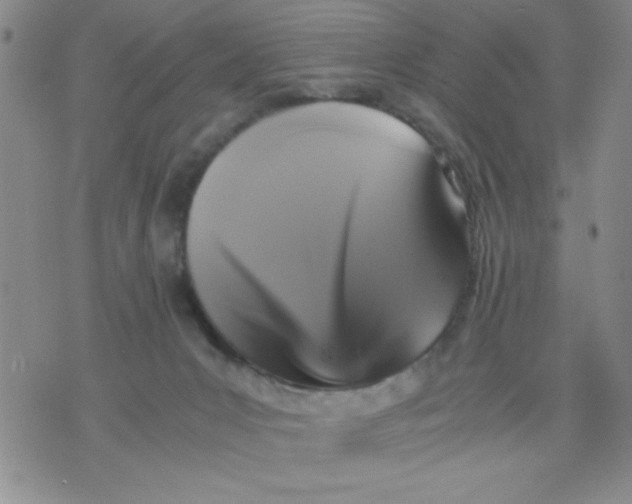 X0000076030031200610152058