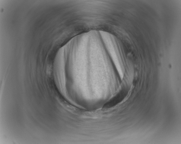 X0000076030033200610152058