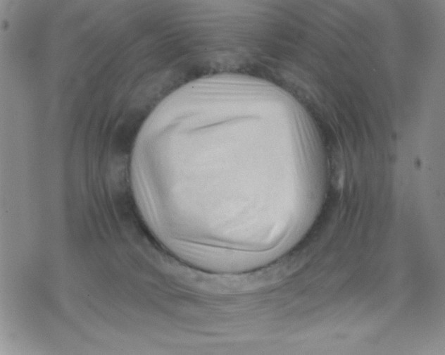 X0000076030034200610152058