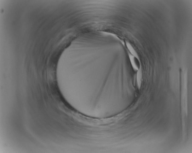 X0000076030035200610152058