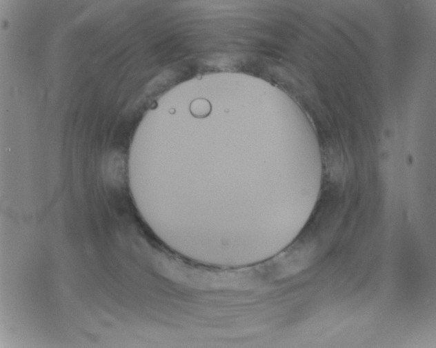 X0000076030036200610152058