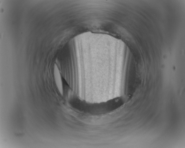 X0000076030037200610152058