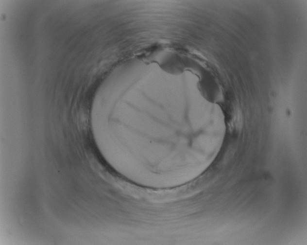 X0000076030039200610152058