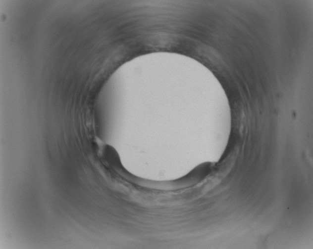 X0000076030040200610152058