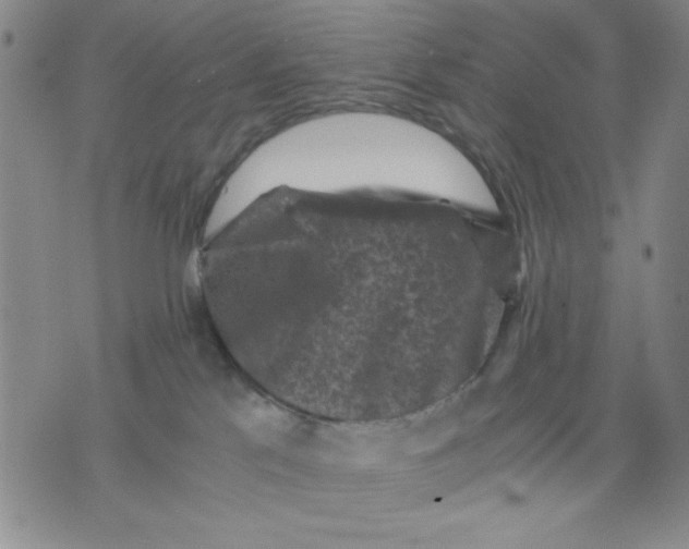 X0000076030041200610152058