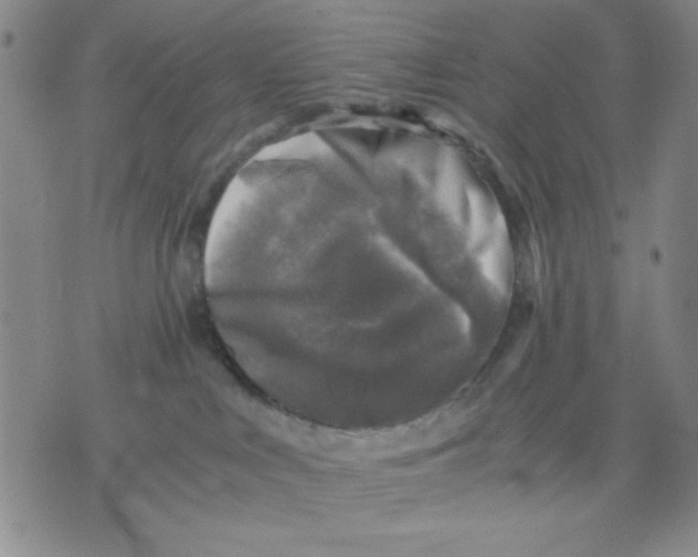 X0000076030043200610152058