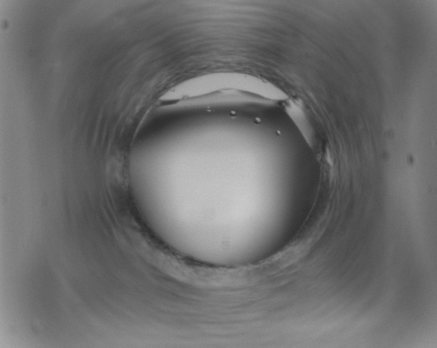 X0000076030044200610152058