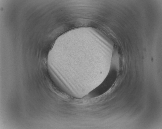 X0000076030045200610152058