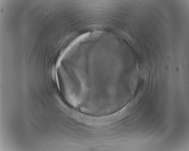 X0000076030047200610152058