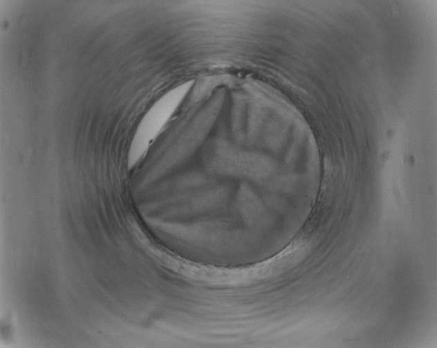 X0000076030048200610152058