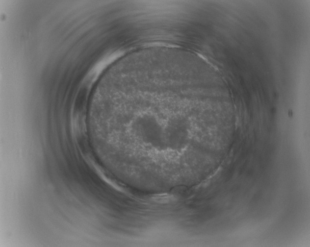 X0000076030050200610152057