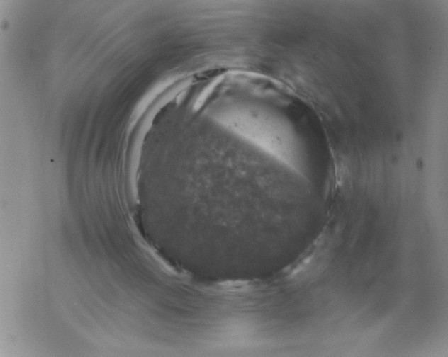 X0000076030052200610152057