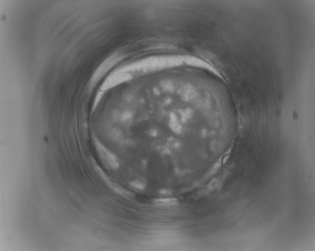 X0000076030053200610152057