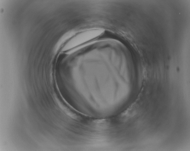 X0000076030054200610152057