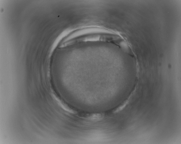 X0000076030056200610152057