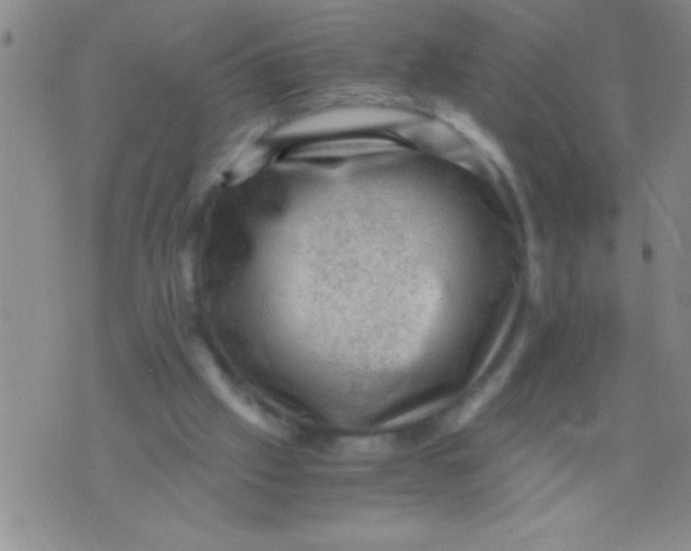 X0000076030057200610152057