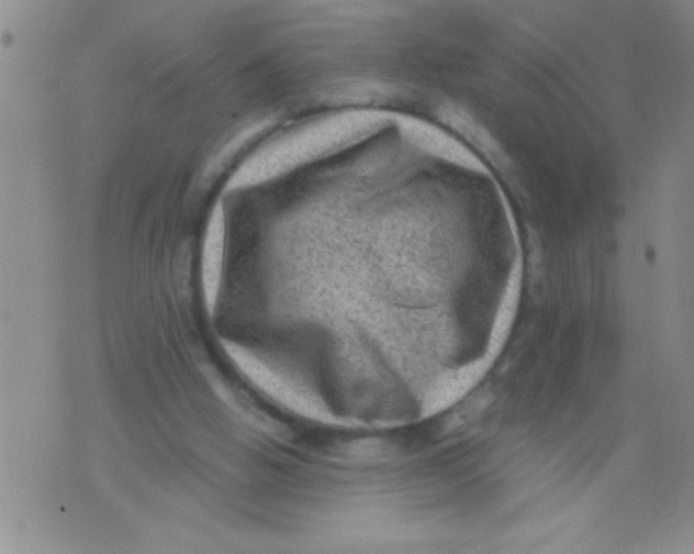 X0000076030058200610152057